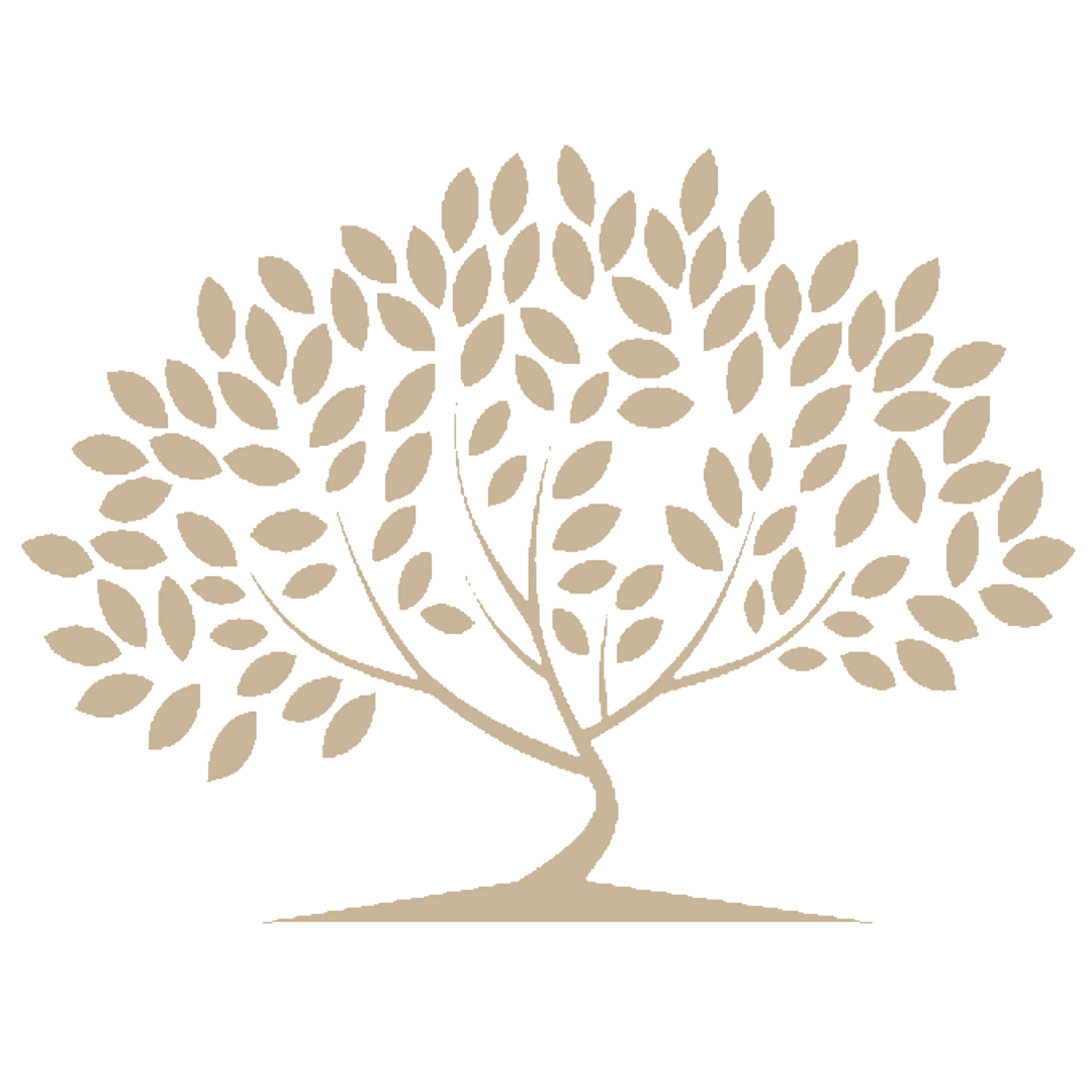 Imperial Holdings